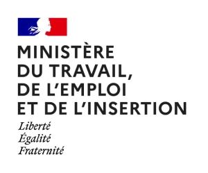formation-reconnue-ministere-travail-empoi-insertion